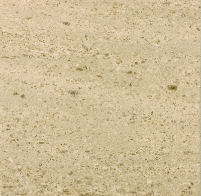 Moca Cream Mf3 Sawn Againts Polished