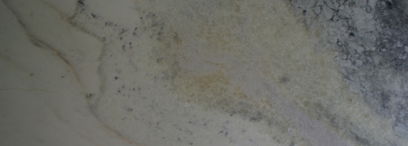 Polar White Marble I