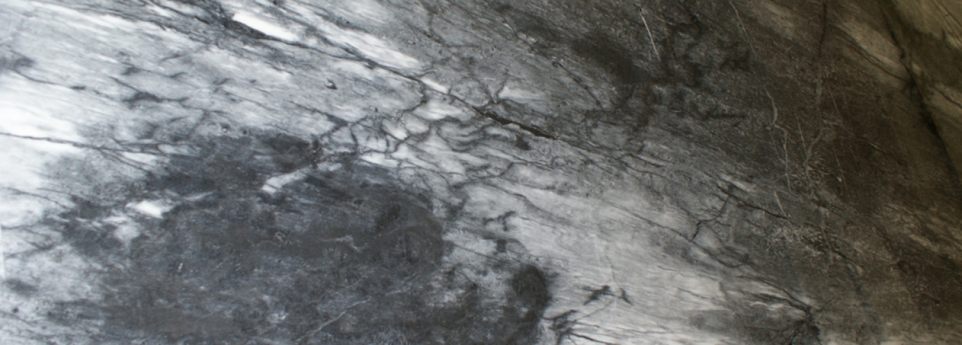 Black Sparl Marble