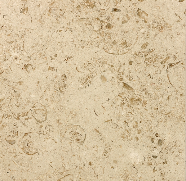 Moca Cream Mf4 Sawn Agains Polished