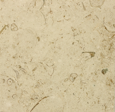 Moca Cream Mf4 Sawn in Favour Polished